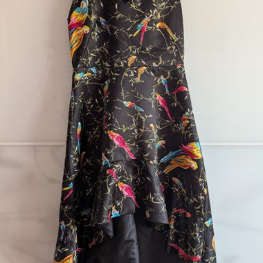 Black dress with parrot print