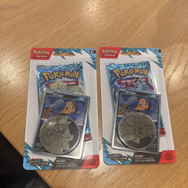POKÉMON JOURNEY TOGETHER