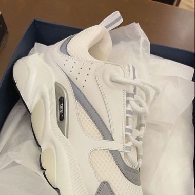 Dior B22