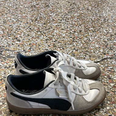 Puma Palermo