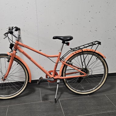 Riverside City/Trekking Bike