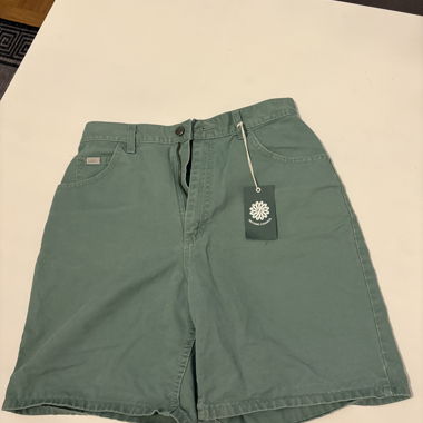 Shorts Lee