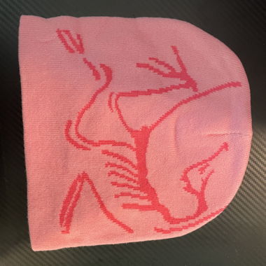 Arcteryx Beanie pink