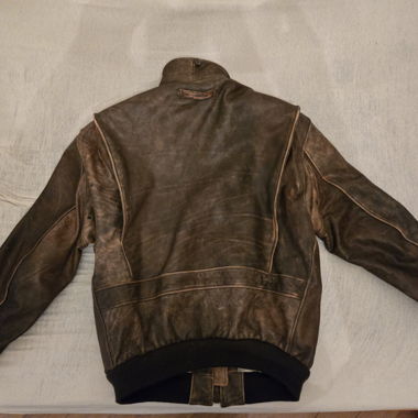 Veste en cuir Speedware