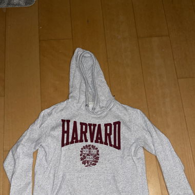 Harvard hoodie