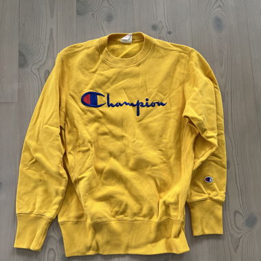 Champion Pullover 