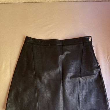 Zara Skirt 