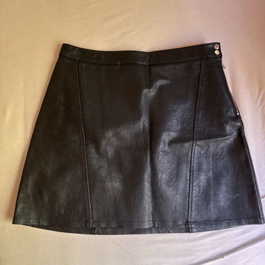 Zara Skirt 