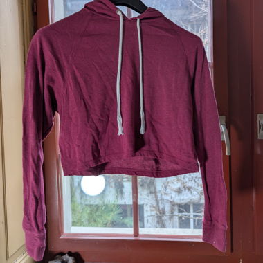 H&M Divided Cropped Hoodie in Burgundy