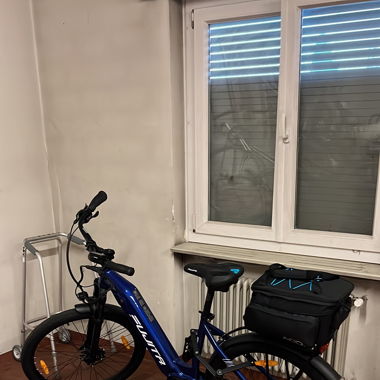 Fujita E-Bike