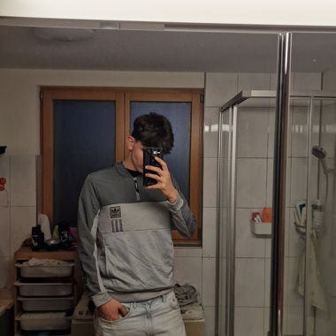 Felpa Adidas grigia