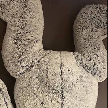 Teddybär