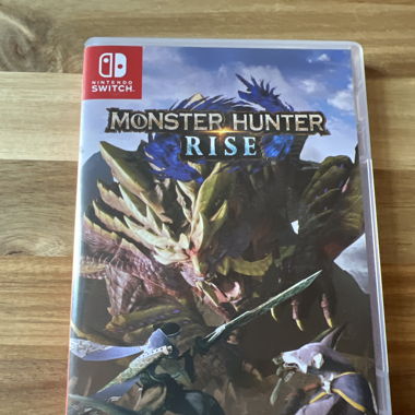 Monster Hunter Rise