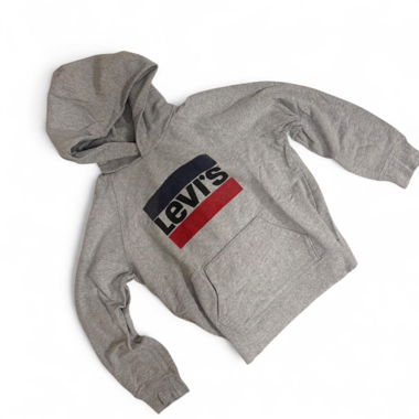 Felpa con cappuccio Levi's grigia