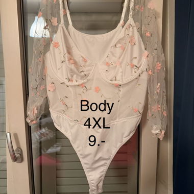 Bodies