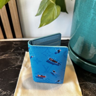Organizer bleu piscine 
