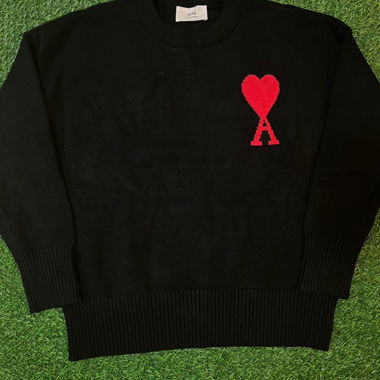 Pull Ami Paris