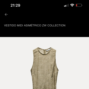 Zara Dress