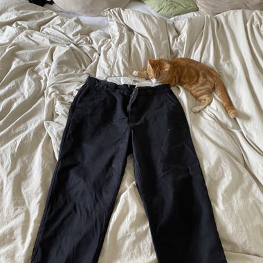 Dickies - Hose