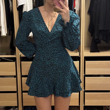 Leopard Print Mini Dress