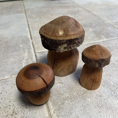 Set de décoration de champignons en bois