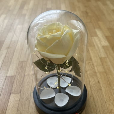 Rose éternelle 