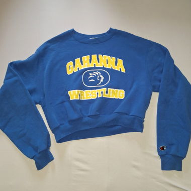 Champion sweatshirt