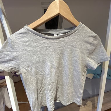Gray Crop T-Shirt