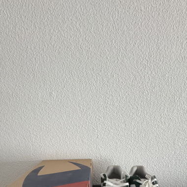 Champion sneakers
