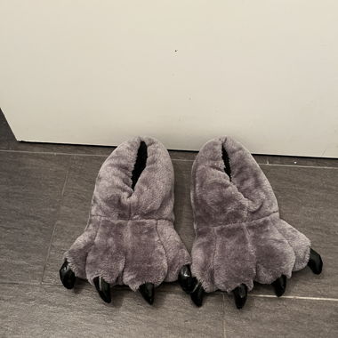 Pantofole, pantofole a zampa grigie