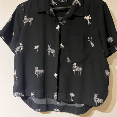 Volcom Shirt