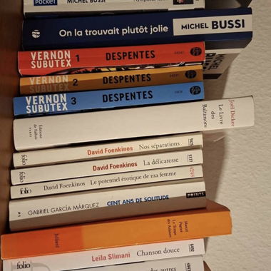 Lotto di romanzi tascabili francesi contemporanei
