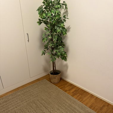 In- & Outdoor-Teppich Timber 160 x 230 cm