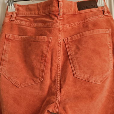 Velour  Soft  Peach   Pants  Yayawomen 