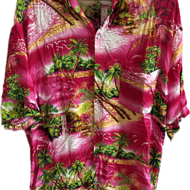 Chemise vintage