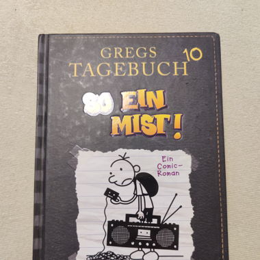 Gregs Tagebuch 10