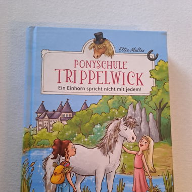 Ponyschule Trippelwick