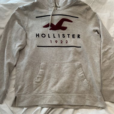 Felpa grigia Hollister