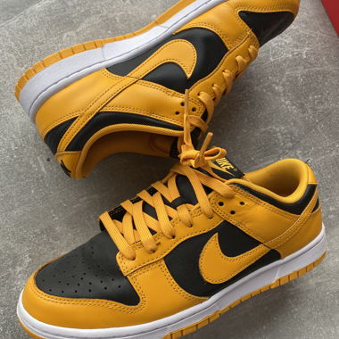 Nike Dunk Hi SP Low Sneaker