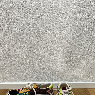 Sneaker Vans