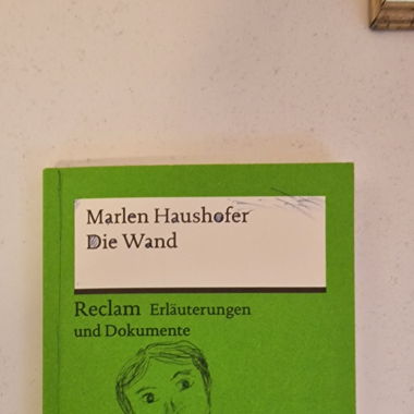 Die Wand Reclam spiegazioni e documenti