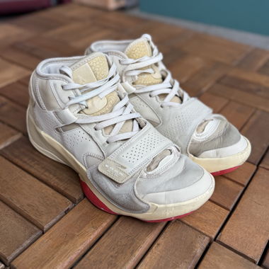 Nike Jordan Zion 2 Let's Dance Tan Beige