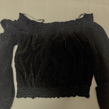 H&M Glitter Cropped Top