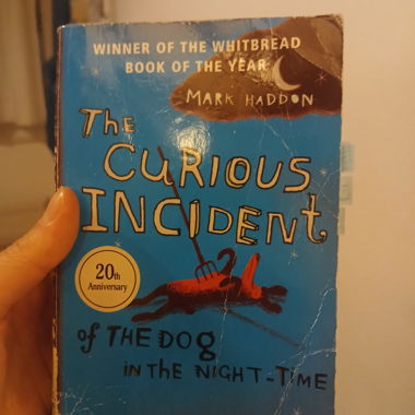 Livre "The Curious Incident" Mark Haddon
