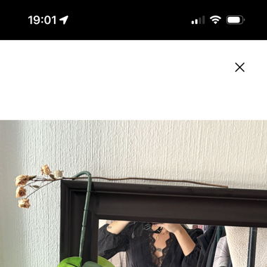 Lot de 5 articles 