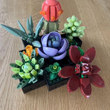 LEGO sukkulenten 
