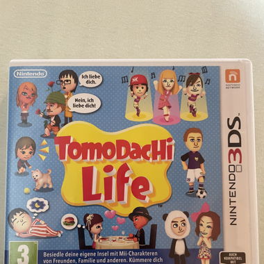 Nintendo 3DS - TomoDacHi Life