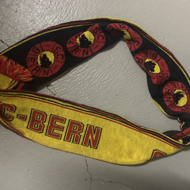 Sciarpa SCB Bern
