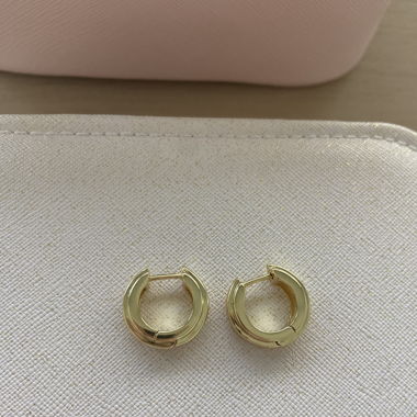 Hoops earrings