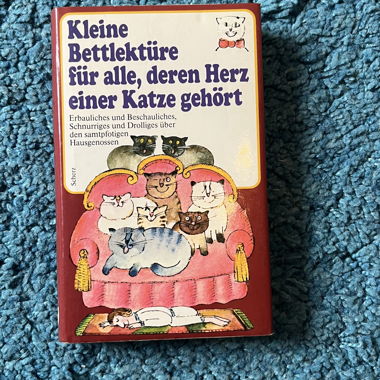 Little Cat Book